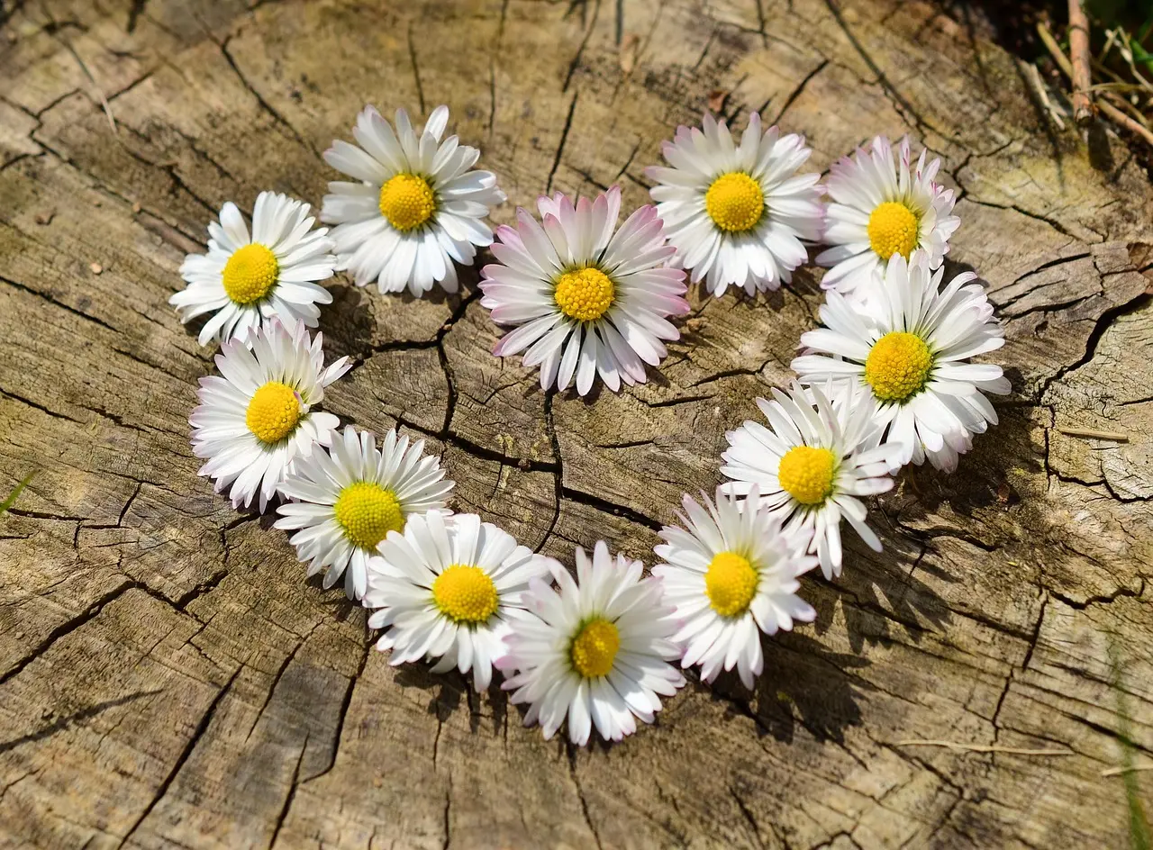 blocchi emotivi in amore cuore
